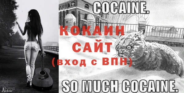 стаф Баксан